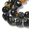 Faceted Natural Fire Crackle Agate Beads Strands G-F447-10mm-A09-3