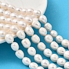 Natural Cultured Freshwater Pearl Beads Strands PEAR-I007-01E-02A-1