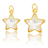 10Pcs 2 Styles Brass Charms KK-BBC0019-20A-6
