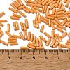 Baking Paint Glass Twist Bugle Beads SEED-C004-02F-4