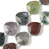 Natural Indian Agate Beads Strands G-D316-A09-2