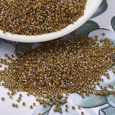 MIYUKI Delica Beads SEED-X0054-DB1738-1