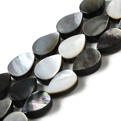 Natural Black Lip Shell Beads Strands BSHE-D300-04A-1