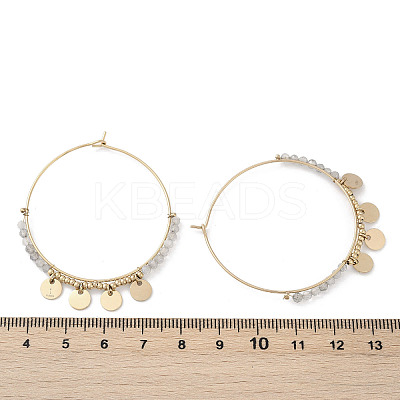 304 Stainless Steel Natural Labradorite Chandelier Earrings EJEW-Z089-36G-02-1