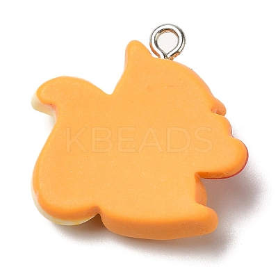Autumn Theme Opaque Resin Pendants RESI-L038-03P-03-1