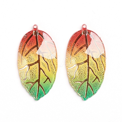 Rainbow Color Resin Pendants RESI-WH0008-31F-1