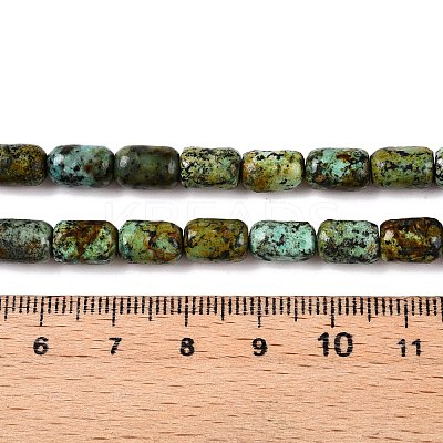 Natural African Turquoise(Jasper) Beads Strands G-G980-33B-1
