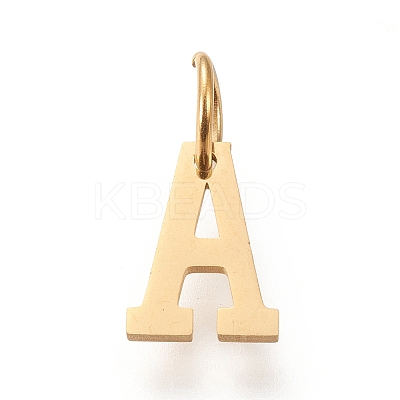 304 Stainless Steel Pendants LS-STAS-M276-A26-1
