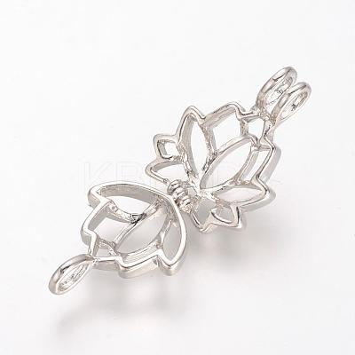 Alloy Diffuser Locket Pendants PALLOY-S062-40P-1
