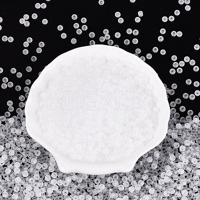 FGB Frosted Transparent Glass Seed Beads SEED-N013-02A-01-1