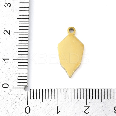 304 Stainless Steel Pendants STAS-F315-08G-02-1