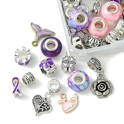 DIY European Charm Bracelets Jewelry Kit DIY-FS0005-64-1