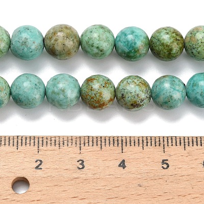 Natural Peruvian Turquoise(Jasper) Beads Strands G-L642-B08-8mm-1