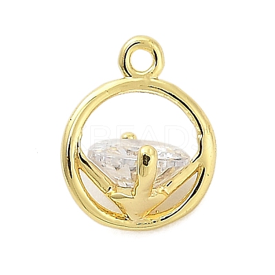 Brass Micro Pave Cubic Zirconia Charms ZIRC-F143-02G-1