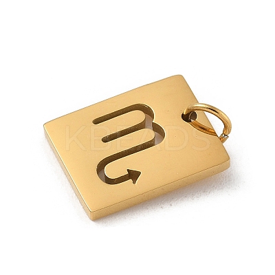 304 Stainless Steel Charms LS-STAS-R001-03G-08-1