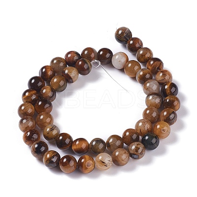 Natural Yellow Tiger Eye Beads Strands X-G-H238-8mm-1