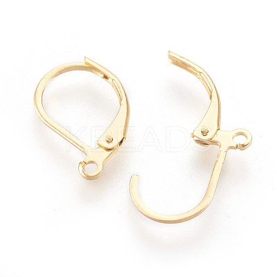 304 Stainless Steel Leverback Earrings Findings X-STAS-F188-10G-1