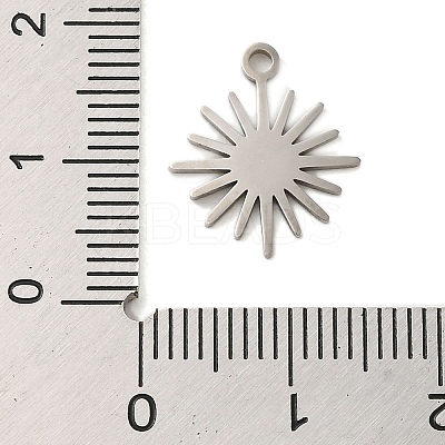 Non-Tarnish 304 Stainless Steel Charms STAS-S123-01P-04-1