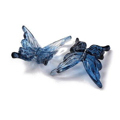 Transparent Acrylic Beads TACR-P011-01B-04-1