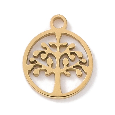 304 Stainless Steel Charms STAS-K286-01D-G-1