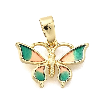 Brass Enamel Charms KK-P336-24G-02-1
