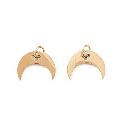 304 Stainless Steel Charms STAS-D390-25G-1