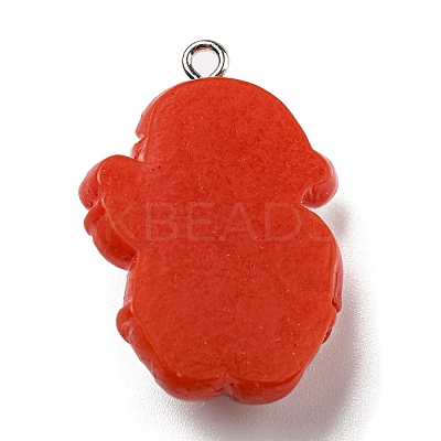 Opaque Resin Pendants CRES-D010-02I-1