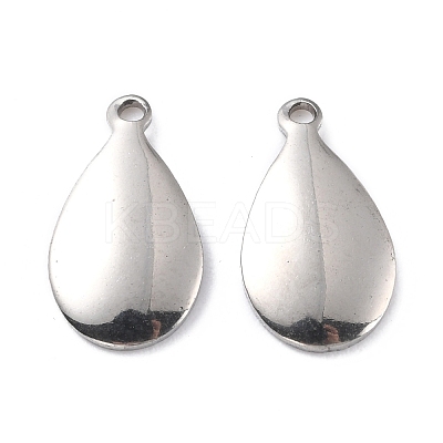 Tarnish Resistant 201 Stainless Steel Charms STAS-K217-87-1