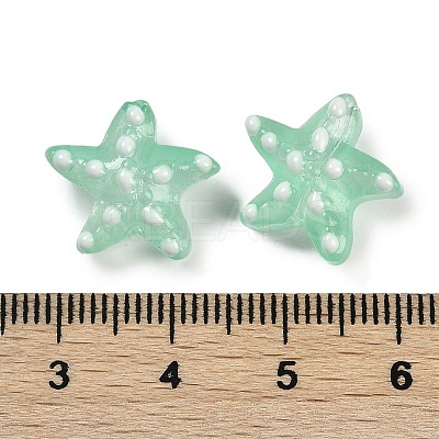 Handmade Lampwork Beads Strands LAMP-I027-09C-1