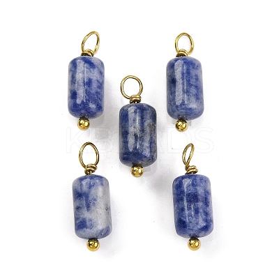 Natural Sodalite Cloumn Pendants LS-STAS-H221-04G-06-1