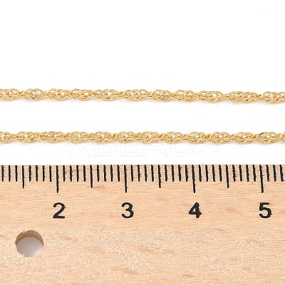 Brass Singapore Chain Necklaces for Women Men NJEW-Z068-13G-1