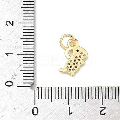 Brass Micro Pave Cubic Zirconia Charms ZIRC-I356-15G-03-1