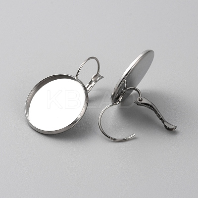 304 Stainless Steel Hoop Earring Findings STAS-WH0001-17D-P-1