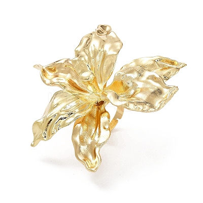 Alloy Finger Rings for Women RJEW-L127-01G-1