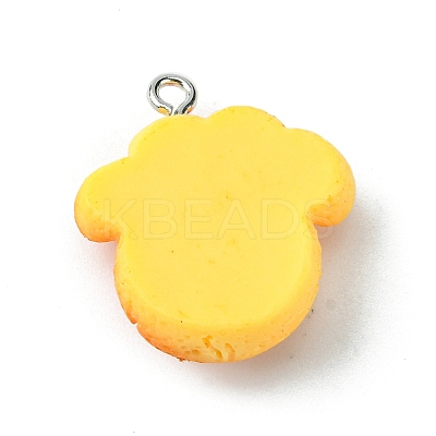 Opaque Resin Imitation Food Pendants RESI-R436-04D-1