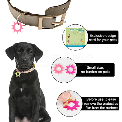 Transparent Blank Acrylic Pet Dog ID Tag PALLOY-AB00041-1