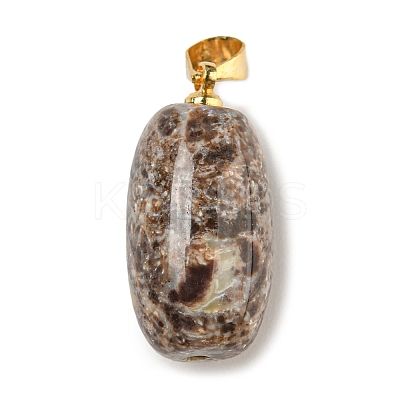 Natural Agate Pendants G-D094-05B-G-1