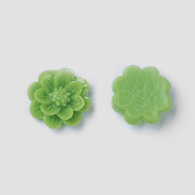 Resin Cabochon CRES-B3259-M-1