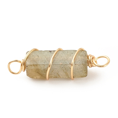 Natural Labradorite Connector Charms PALLOY-JF01580-01-1