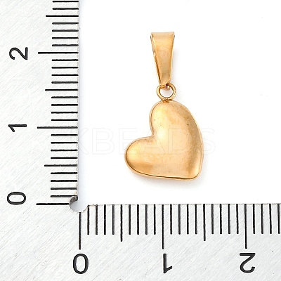 PVD Vacuum Plating 304 Stainless Steel Charms STAS-I127-068G-1