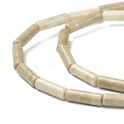 Natural Petrified Wood Beads Strands G-F247-49-1