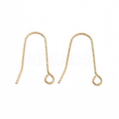 Ion Plating(IP)  316 Stainless Steel Earring Hooks X-STAS-C059-10G-1