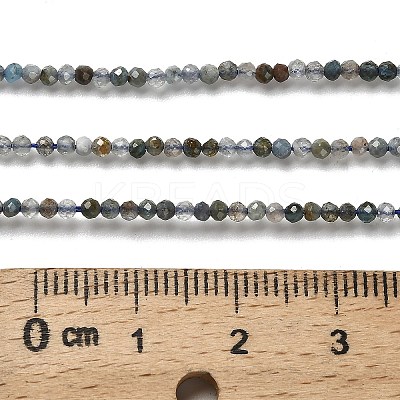 Natural Apatite Beads Strands LS-G-RM2025-A23-2mm-1