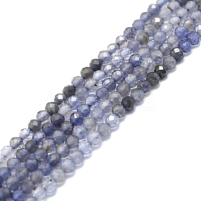 Natural Iolite/Cordierite/Dichroite Beads Strands G-P457-A03-11-1