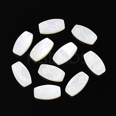 Natural White Shell Cabochons BSHE-T014-18-1