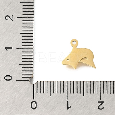 304 Stainless Steel Charms STAS-U027-10G-05-1