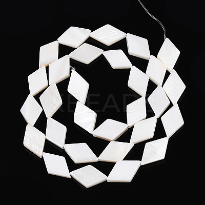 Natural Freshwater Shell Beads Strands SHEL-T020-13H-1