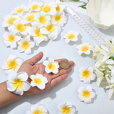 30Pcs 3 Styles Foam Artificial Frangipani Flower Aligator Hair Clips PHAR-SP0001-23A-1