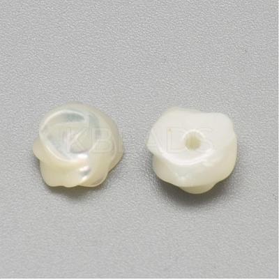 Natural White Shell Mother of Pearl Shell Cabochons SSHEL-R042-10-1