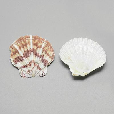 Sea Shell Big Pendants SSHEL-Q299-003-1